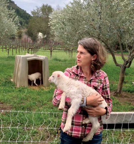 California Small Farm Conference